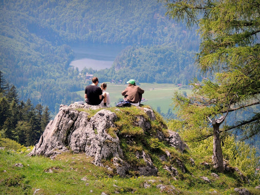 Austrian national identity and heritage