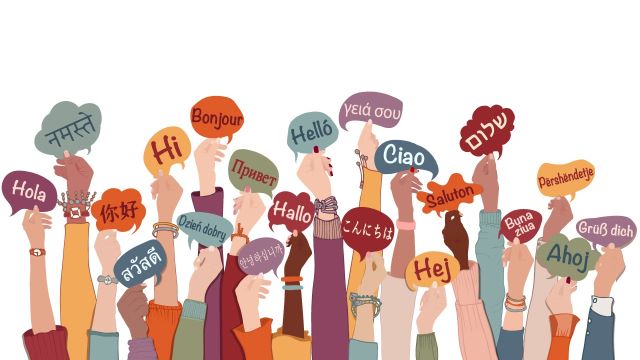 How Cultural Diversity Enriches Societies in Ways DEI Can't Replicate