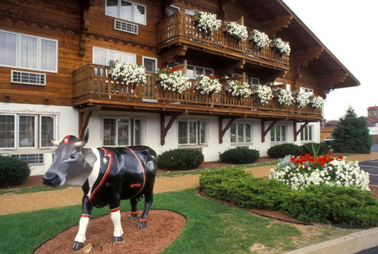 Swiss American culture and identity