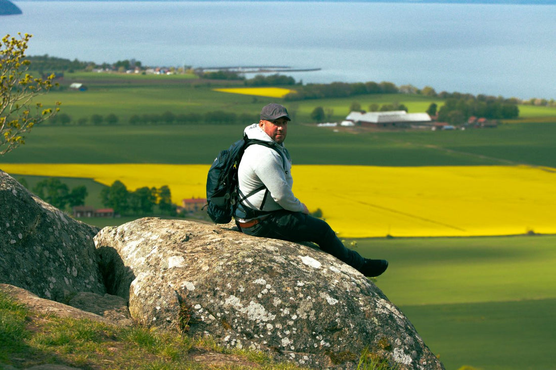 Swedish American culture