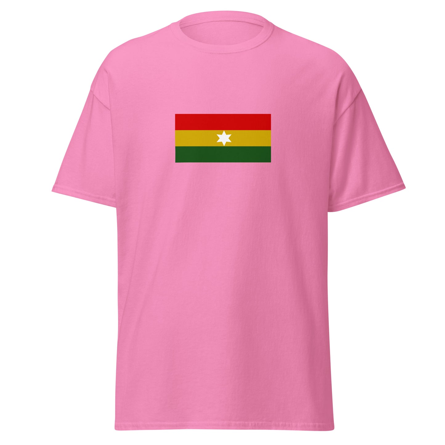 India - Assamese people | Ethnic Indian Flag Interactive T-shirt