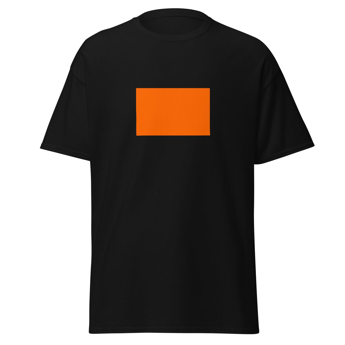 India - Sindhi Hindus | Ethnic Indian Flag Interactive T-shirt