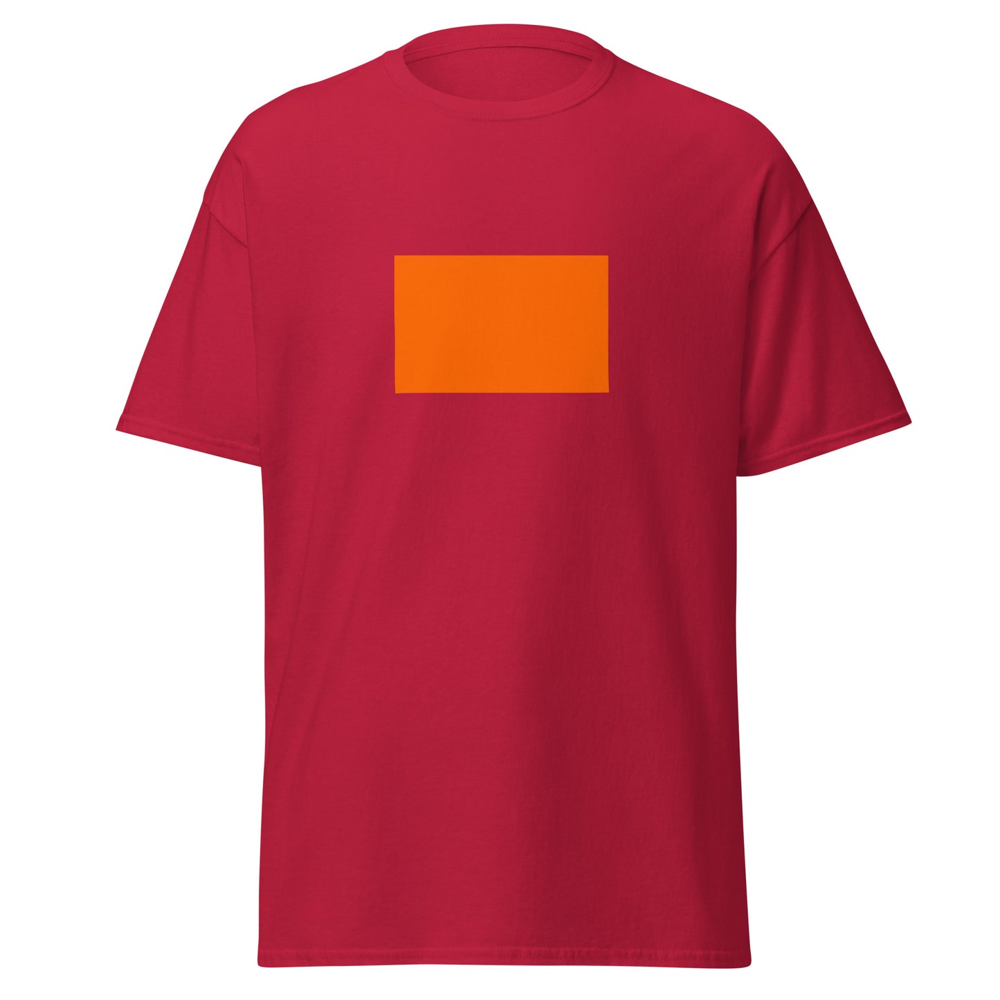 India - Sindhi Hindus | Ethnic Indian Flag Interactive T-shirt