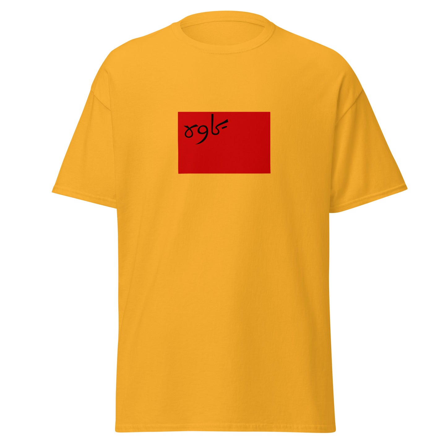 Iran - Persian Socialist Soviet Republic (1920-1921) | Historical Iran Flag Interactive T-Shirt