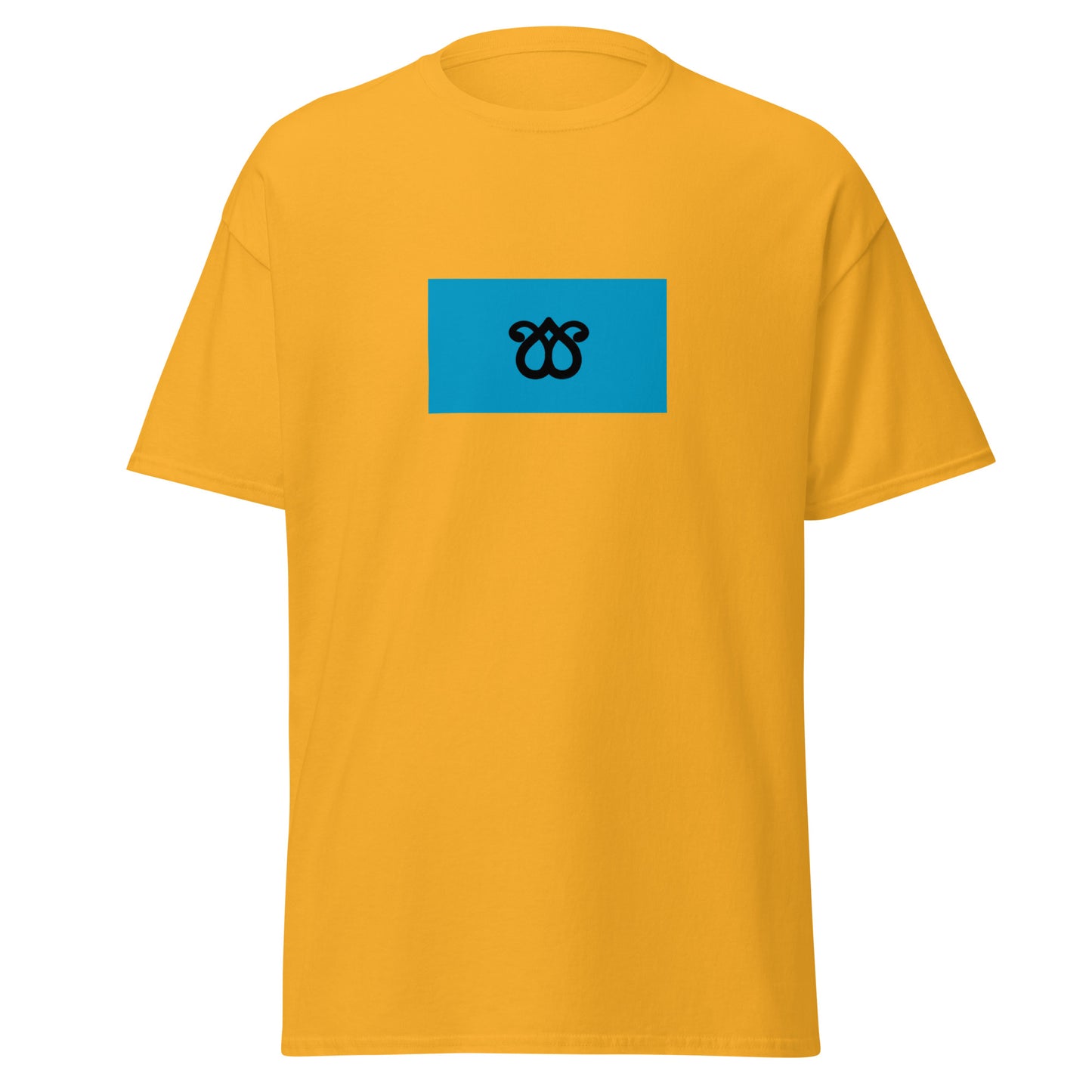 Iran - Qara Qoyunlu Monarchy (1374-1468) | Historical Iran Flag Interactive T-Shirt