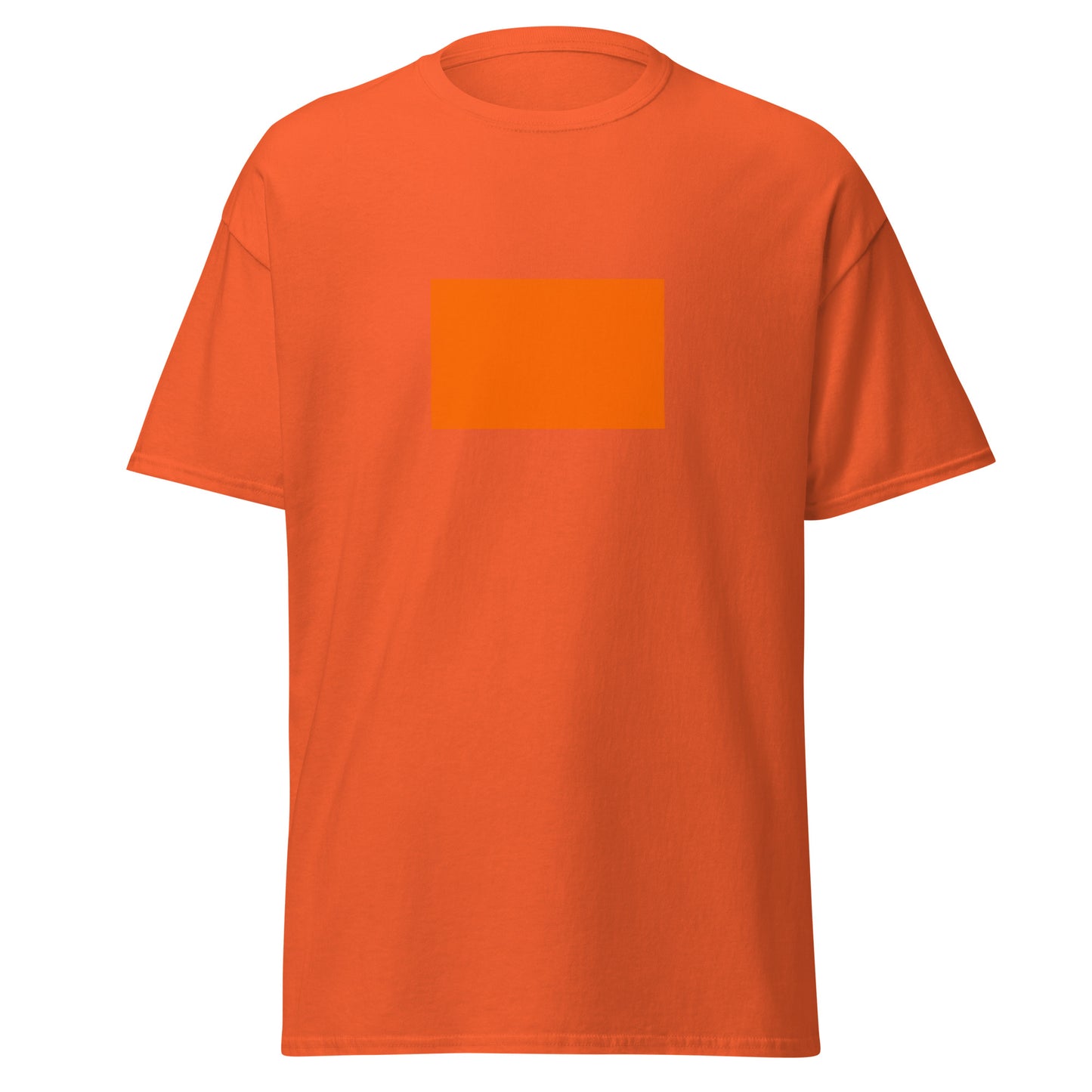 India - Sindhi Hindus | Ethnic Indian Flag Interactive T-shirt