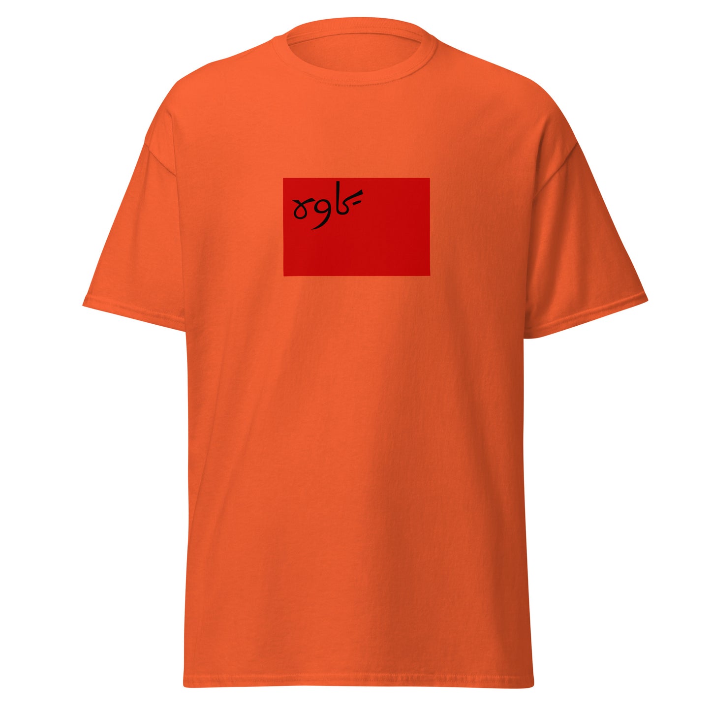 Iran - Persian Socialist Soviet Republic (1920-1921) | Historical Iran Flag Interactive T-Shirt