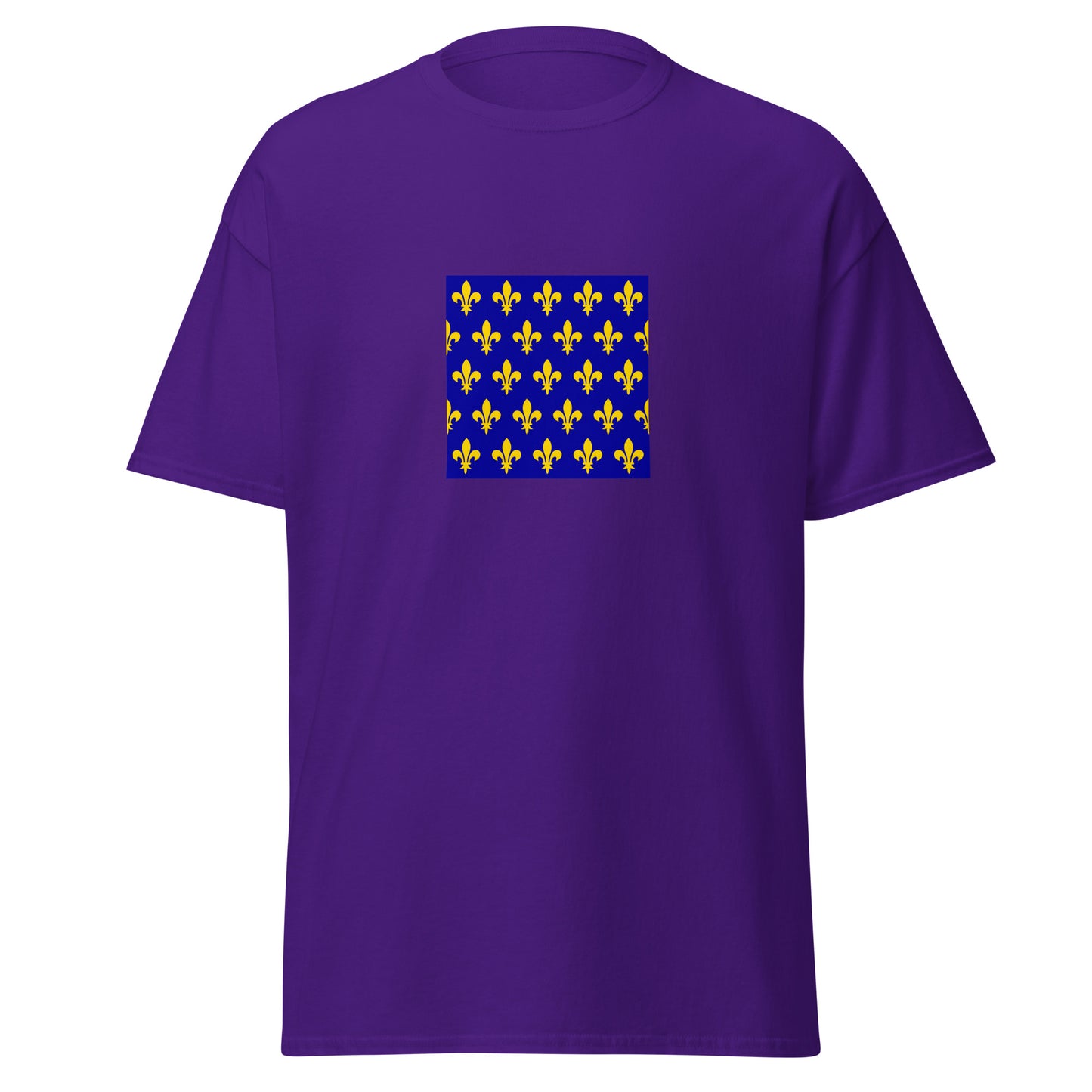 France - Kingdom of France (987-1794) | History French Flag Interactive T-Shirt