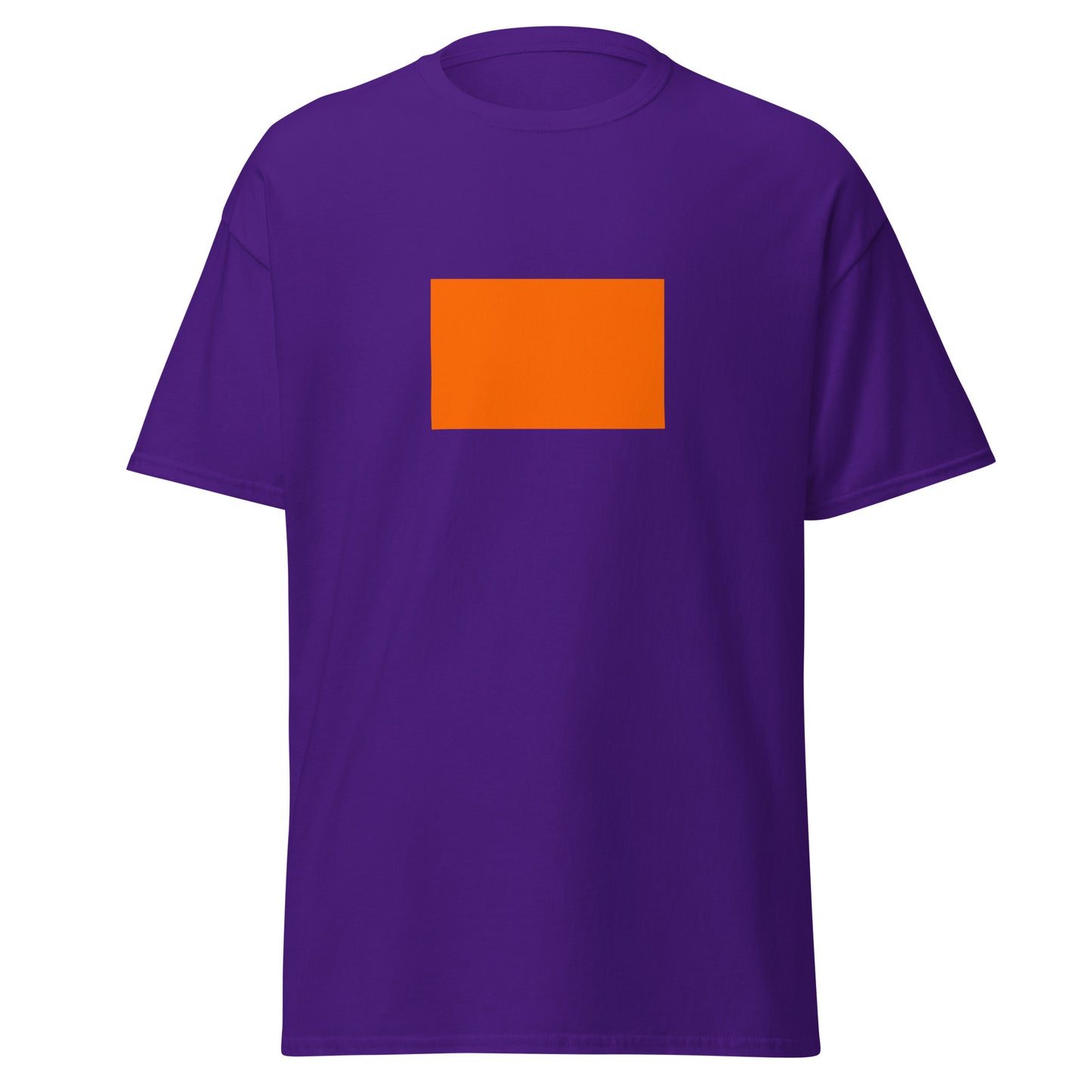 India - Sindhi Hindus | Ethnic Indian Flag Interactive T-shirt