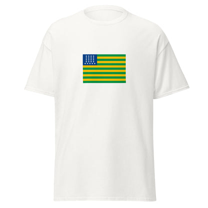 Brazil - First Republic of Brazil (1889-1930) | Historical Brazilian Flag Interactive T-Shirt