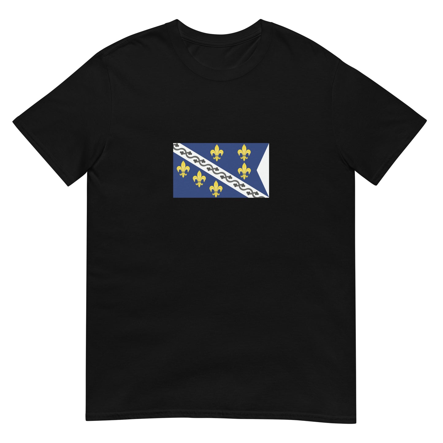 Bosnia Herzegovina - Kingdom of Bosnia (1377-1463) | Historical Flag Short-Sleeve Unisex T-Shirt