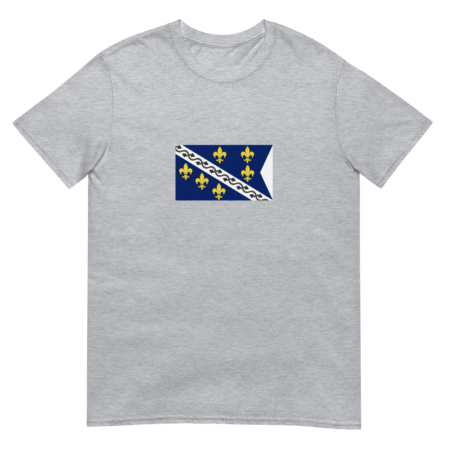 Bosnia Herzegovina - Kingdom of Bosnia (1377-1463) | Historical Flag Short-Sleeve Unisex T-Shirt