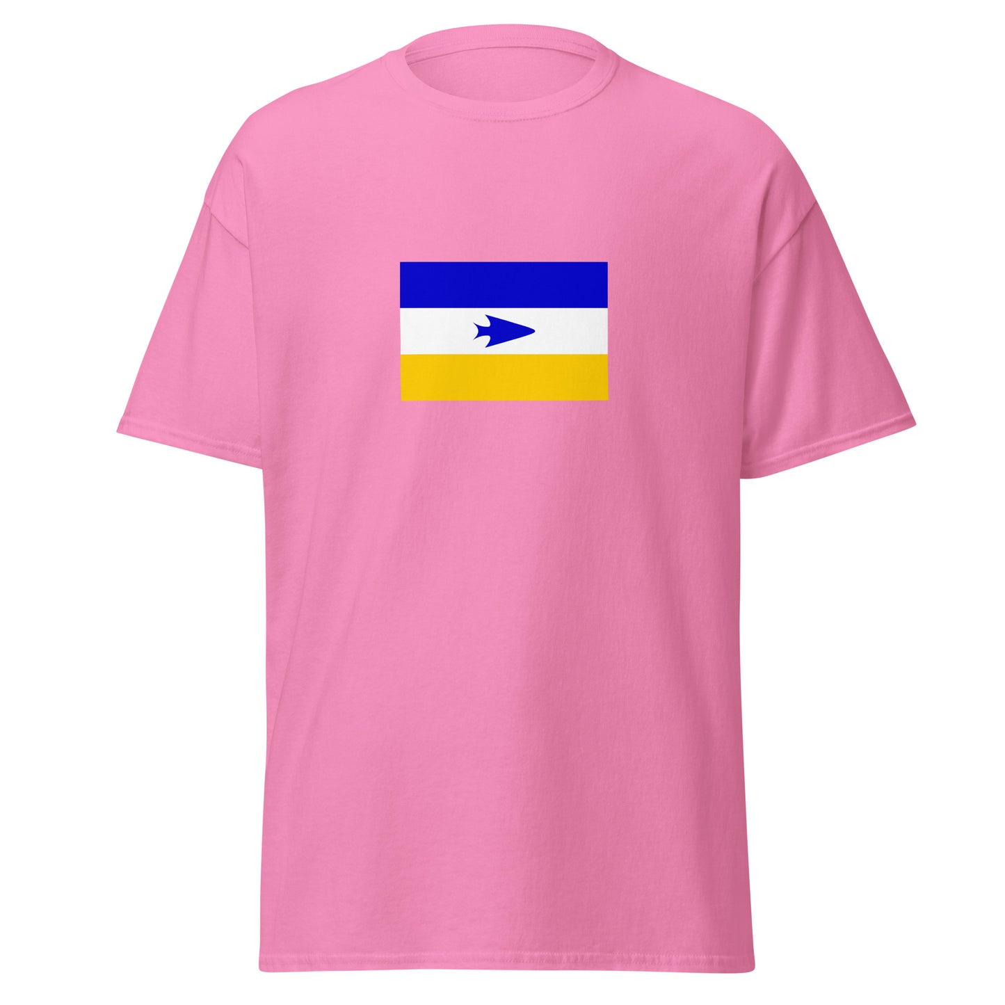 Argentina - Mapuche People | Indigenous Argentina Flag Interactive T-shirt