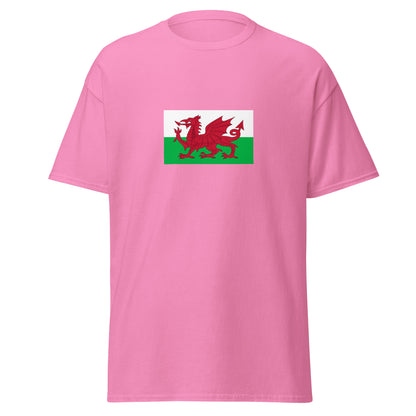 USA - Welsh People | Ethnic American Flag Interactive T-shirt