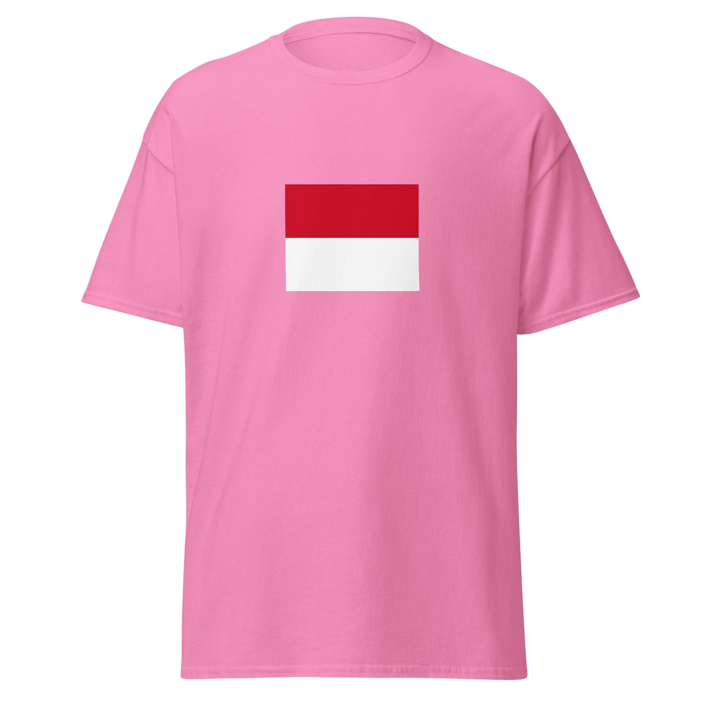 Italy - Monegasque people | Ethnic Italian Flag Interactive T-shirt