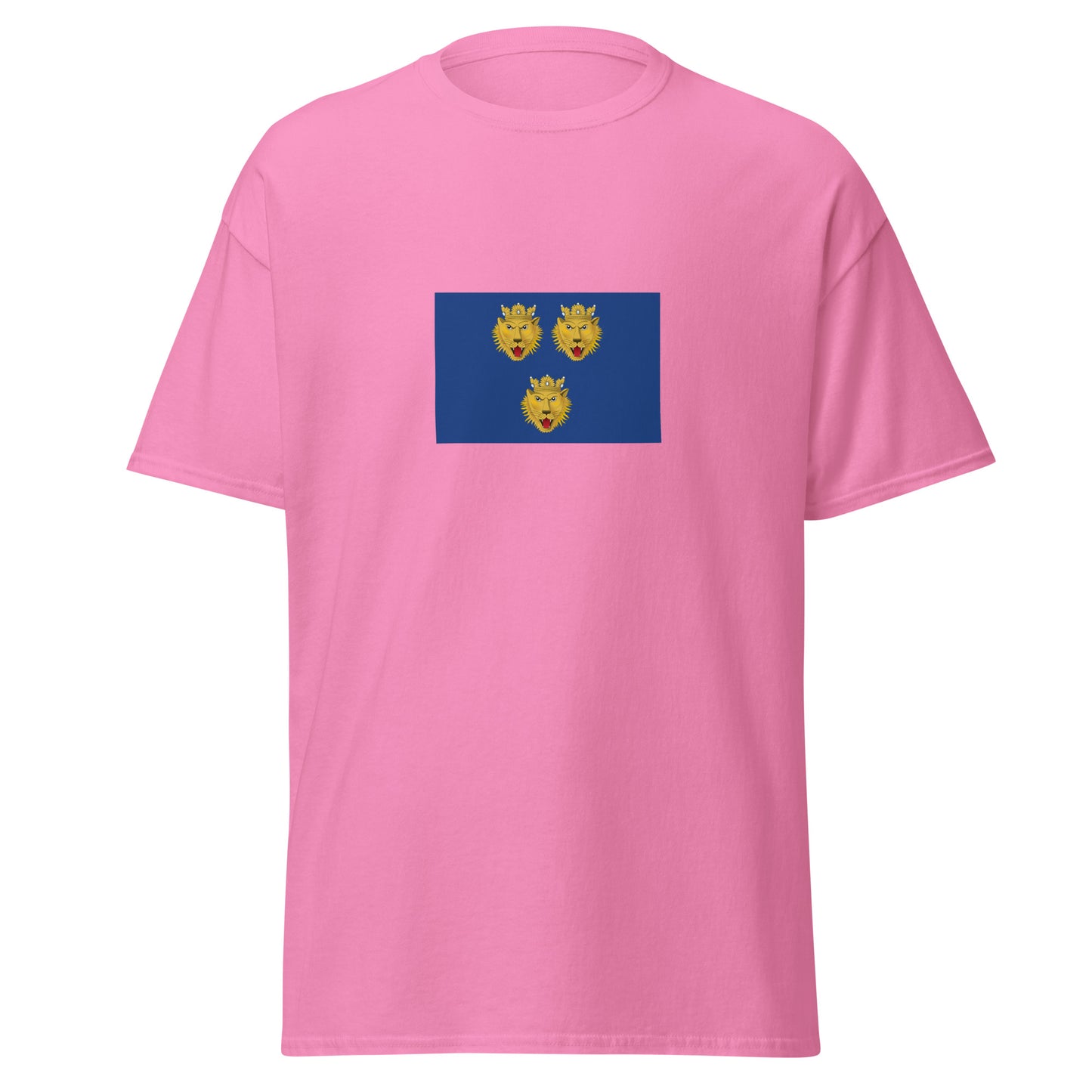 Italy - Dalmation Italians | Ethnic Italian Flag Interactive T-shirt