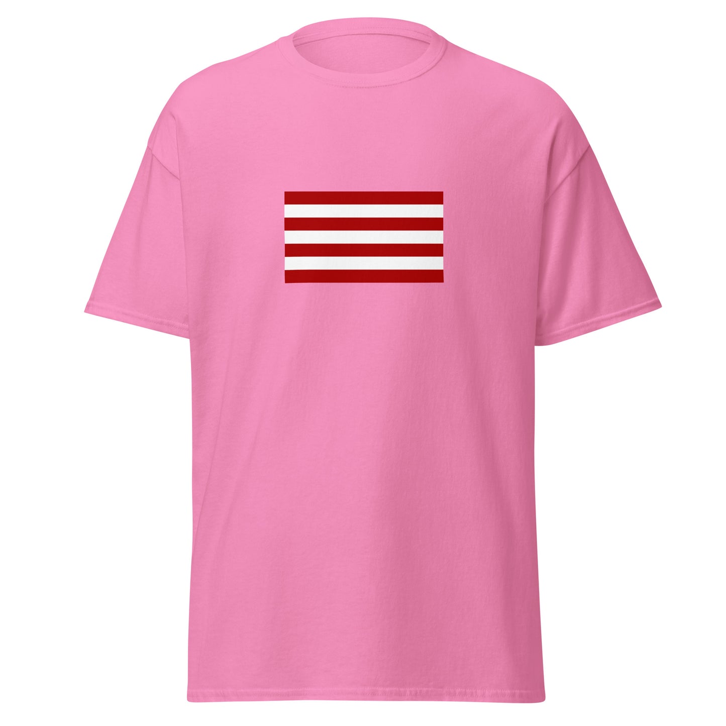 India - Sarnaists | Ethnic Indian Flag Interactive T-shirt