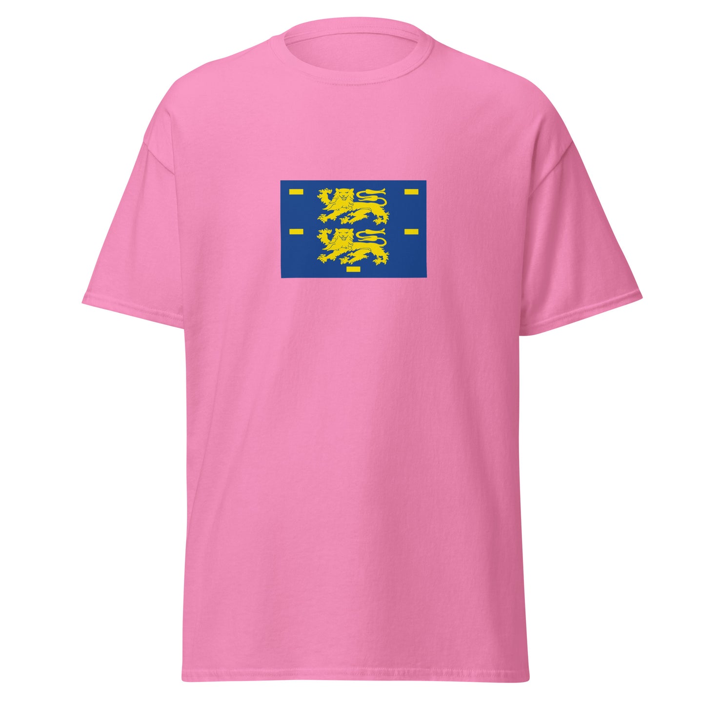 Netherlands - West Frisians | Ethnic Netherlands Flag Interactive T-shirt