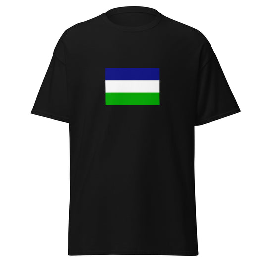 Argentina - Kingdom of Araucania and Patagonia (1860-1860) | Argentina Flag Interactive History T-Shirt