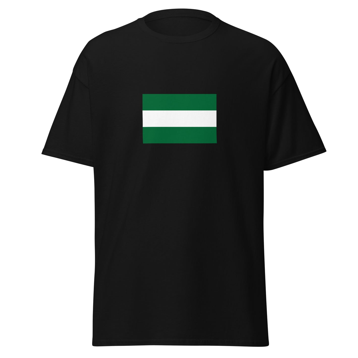 Pakistan - Durrani Empire (1747-1842) | Historical Pakistani Flag Interactive T-Shirt