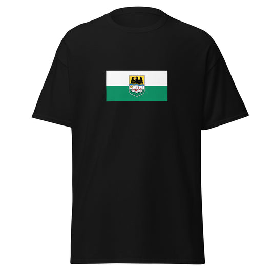 Romania - Danube Swabians | Ethnic Romanian Flag Interactive T-shirt