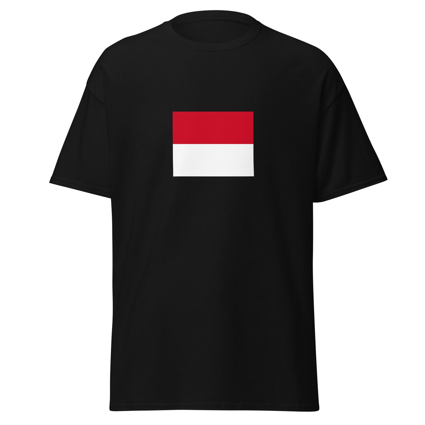 Italy - Monegasque people | Ethnic Italian Flag Interactive T-shirt