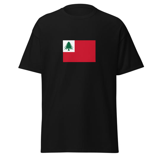 USA - New Englanders (Yankees) | Ethnic American Flag Interactive T-shirt