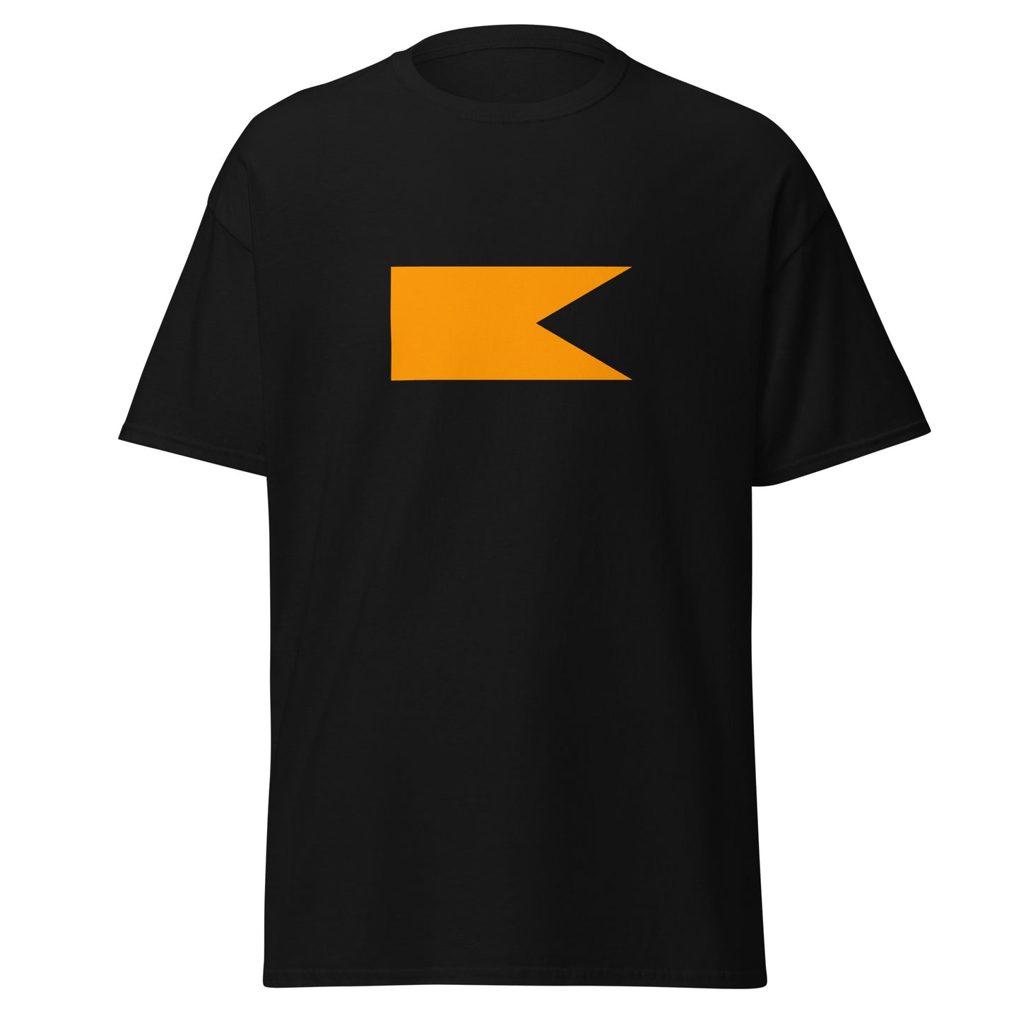 India - Hindus | Ethnic Indian Flag Interactive T-shirt