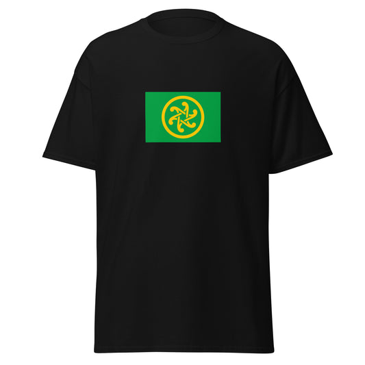 Ireland - Pan-Celtic People | Ethnic Irish Flag Interactive T-shirt