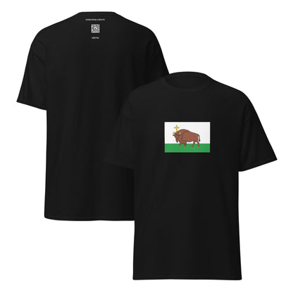 Lithuania - Republic of Perloja (1918-1923) | Historical Lithuanian Flag Interactive T-shirt