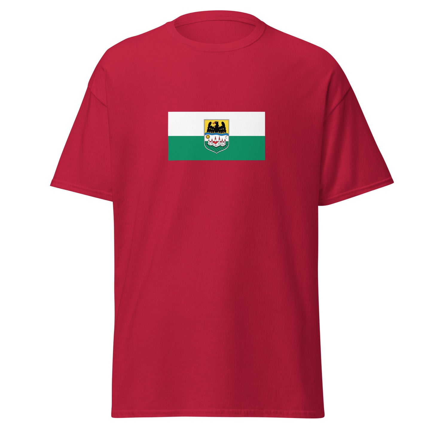 Romania - Danube Swabians | Ethnic Romanian Flag Interactive T-shirt