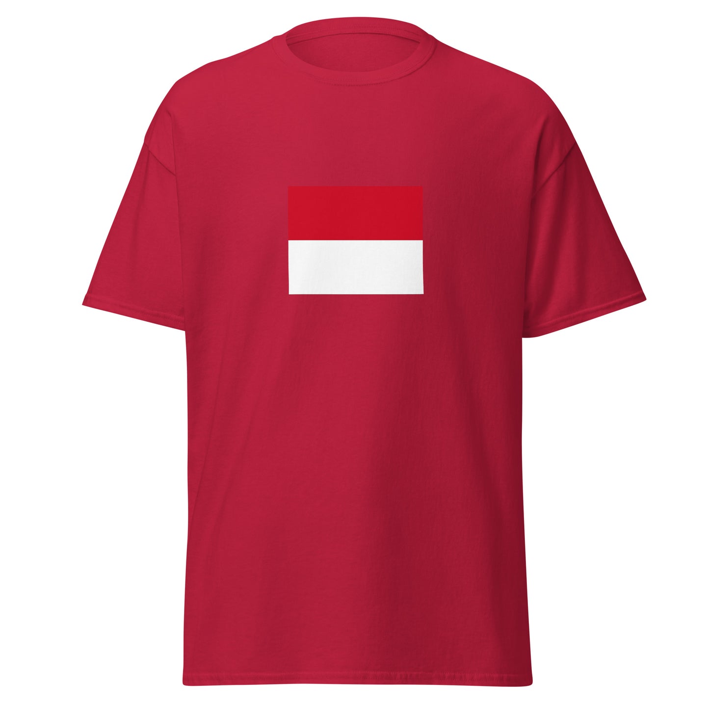 Italy - Monegasque people | Ethnic Italian Flag Interactive T-shirt