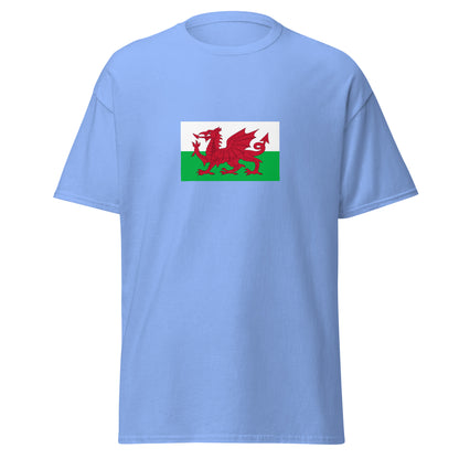 USA - Welsh People | Ethnic American Flag Interactive T-shirt