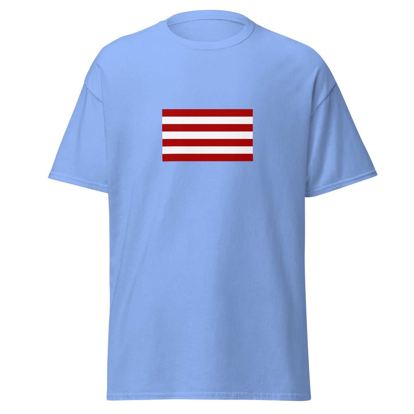 India - Sarnaists | Ethnic Indian Flag Interactive T-shirt