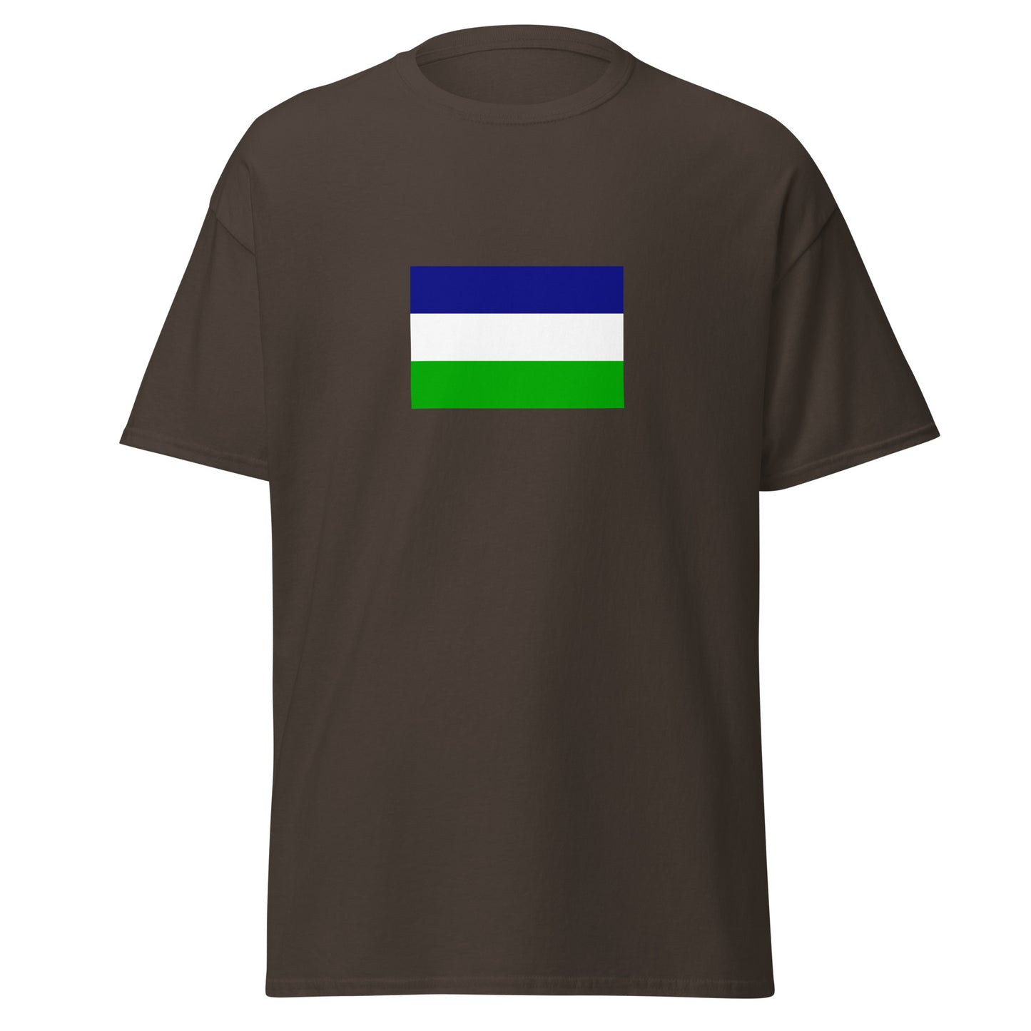 Argentina - Kingdom of Araucania and Patagonia (1860-1860) | Historical Argentina Flag Interactive T-Shirt