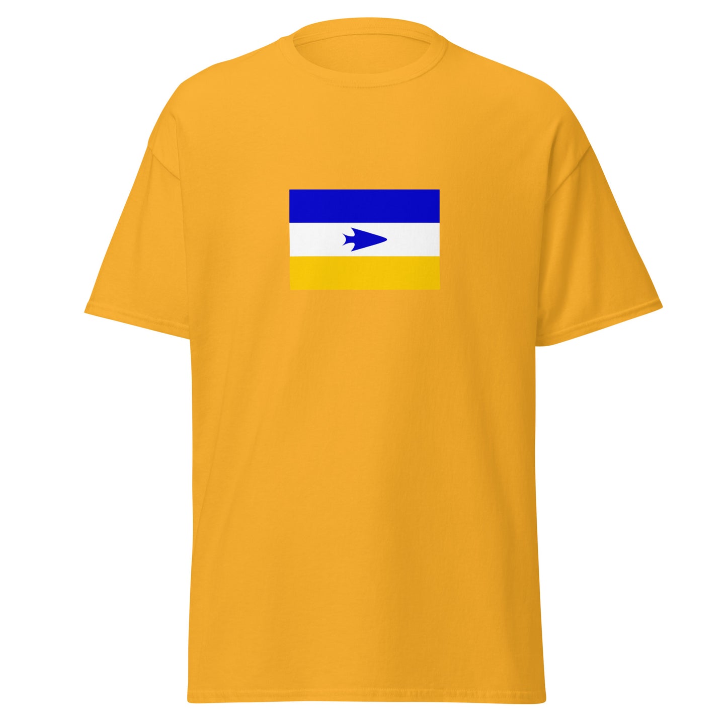 Argentina - Mapuche People | Indigenous Argentina Flag Interactive T-shirt