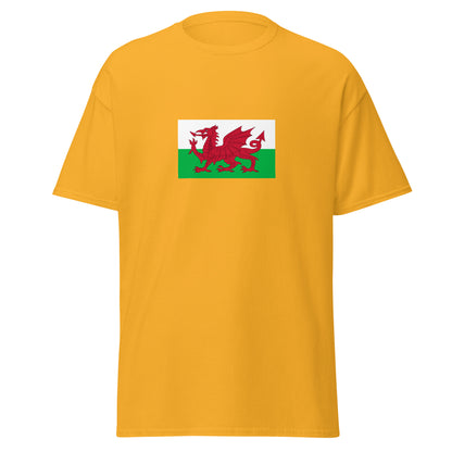 USA - Welsh People | Ethnic American Flag Interactive T-shirt