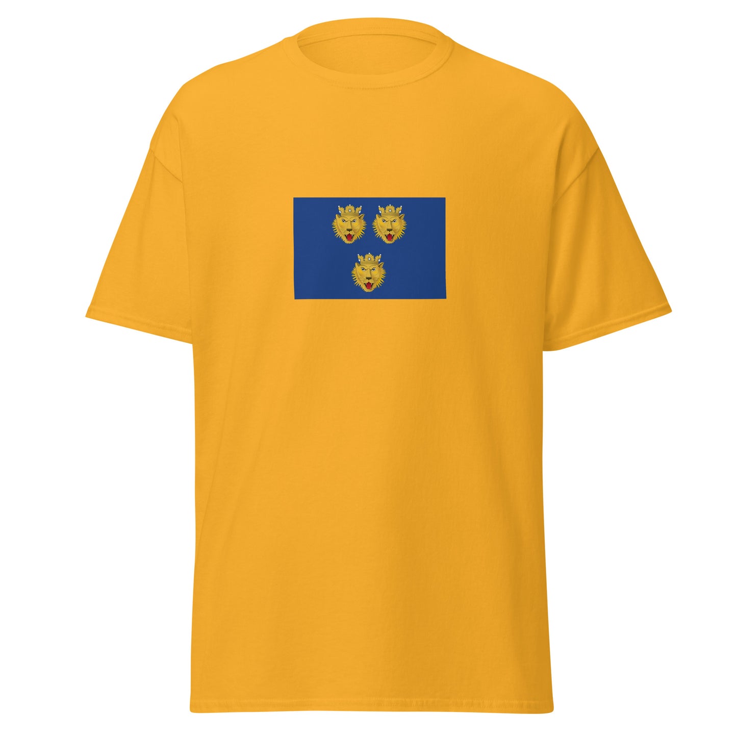 Italy - Dalmation Italians | Ethnic Italian Flag Interactive T-shirt