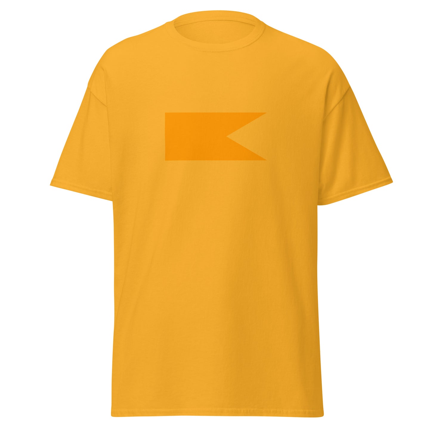 India - Hindus | Ethnic Indian Flag Interactive T-shirt