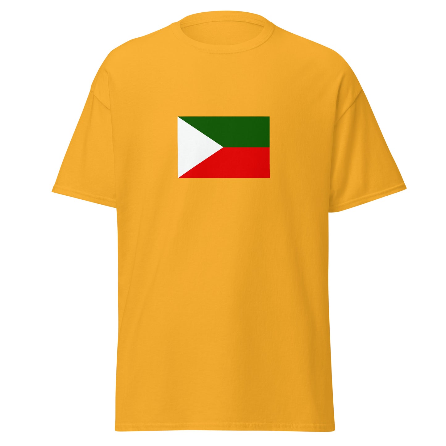 India - Kashmiris | Ethnic Indian Flag Interactive T-shirt