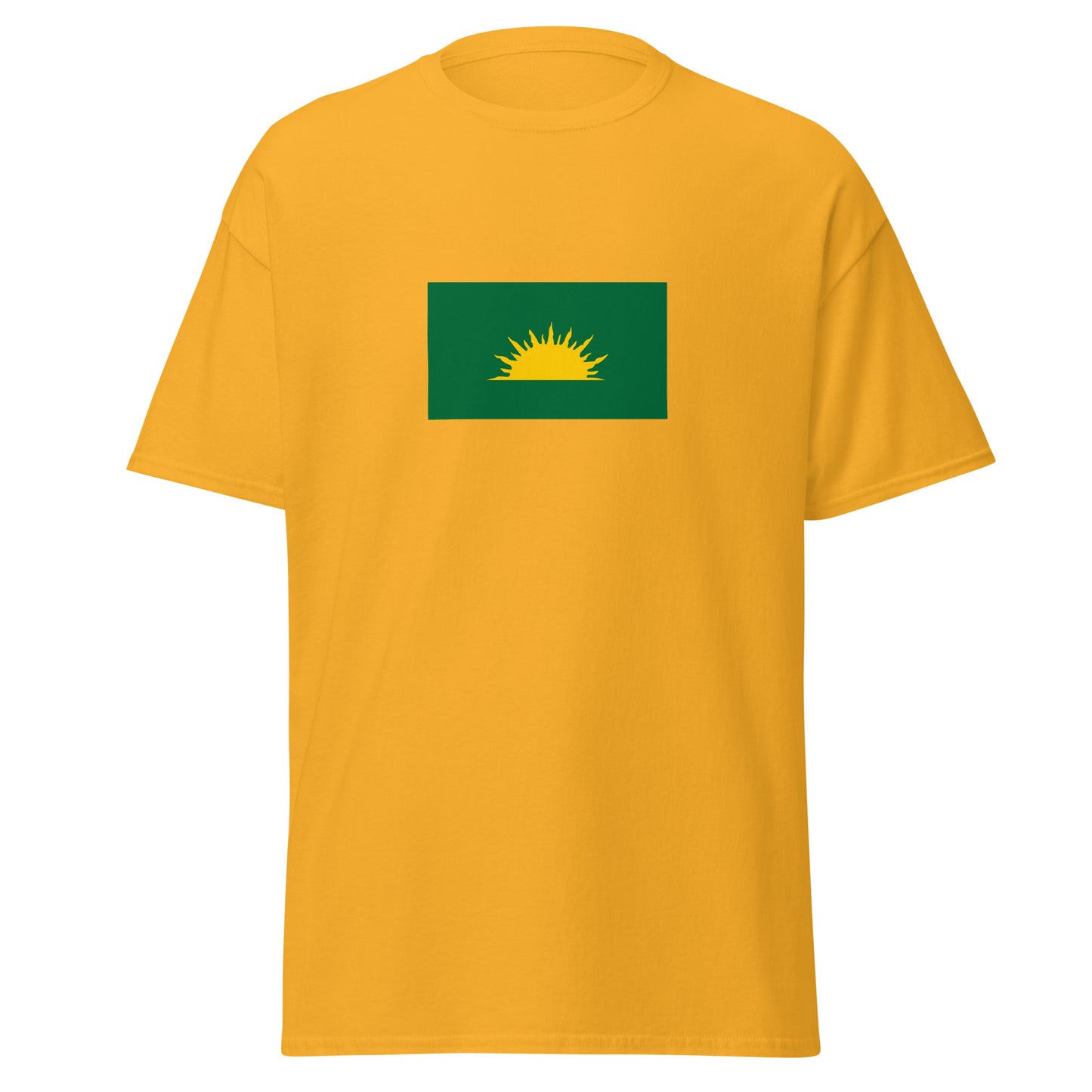 Ireland - Gaels | Ethnic Irish Flag Interactive T-shirt