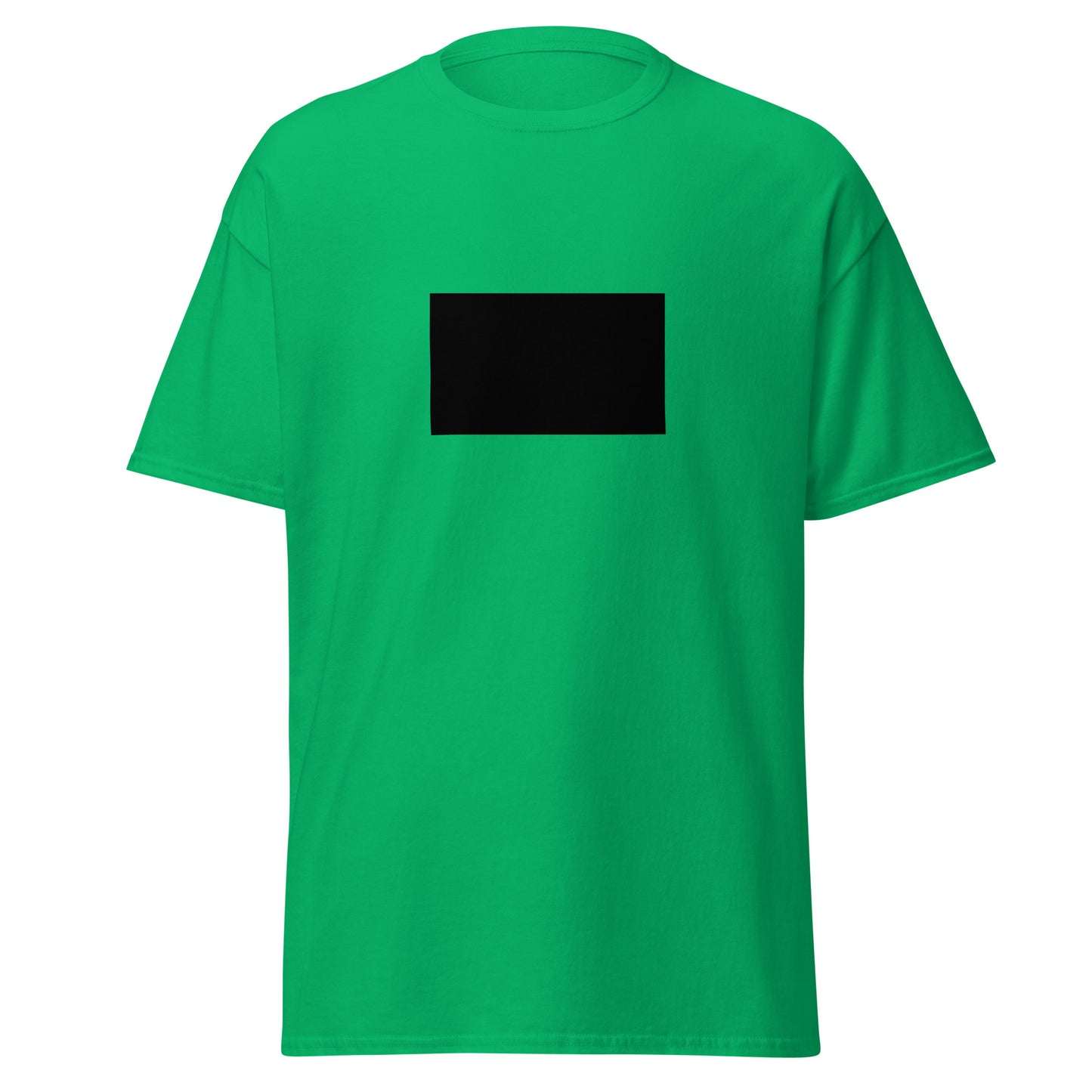 Pakistan - Hotak Empire (1709-1738) | Historical Pakistani Flag Interactive T-Shirt