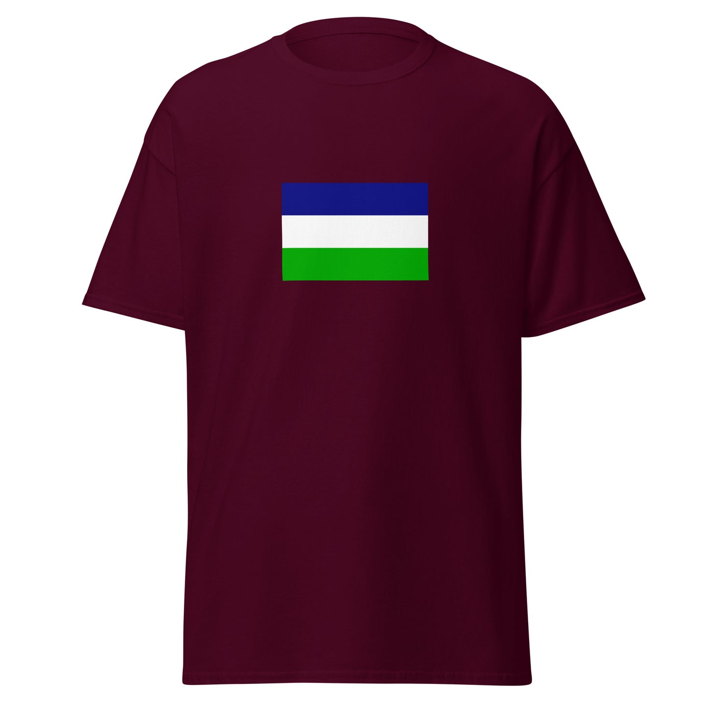 Argentina - Kingdom of Araucania and Patagonia (1860-1860) | Historical Argentina Flag Interactive T-Shirt