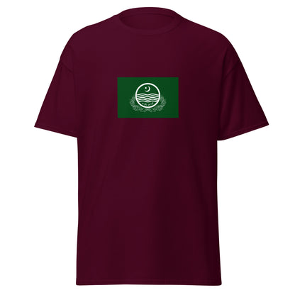 Pakistan - Punjabis | Ethnic Pakistani Flag Interactive T-shirt