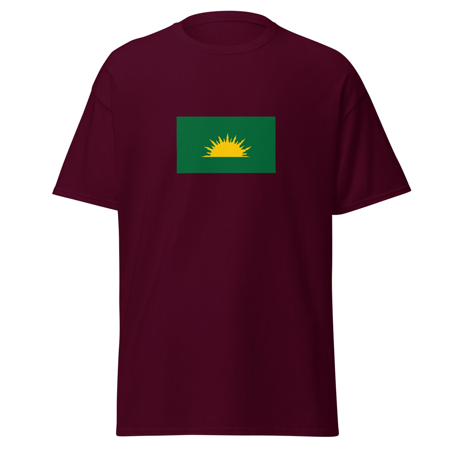 Ireland - Gaels | Ethnic Irish Flag Interactive T-shirt