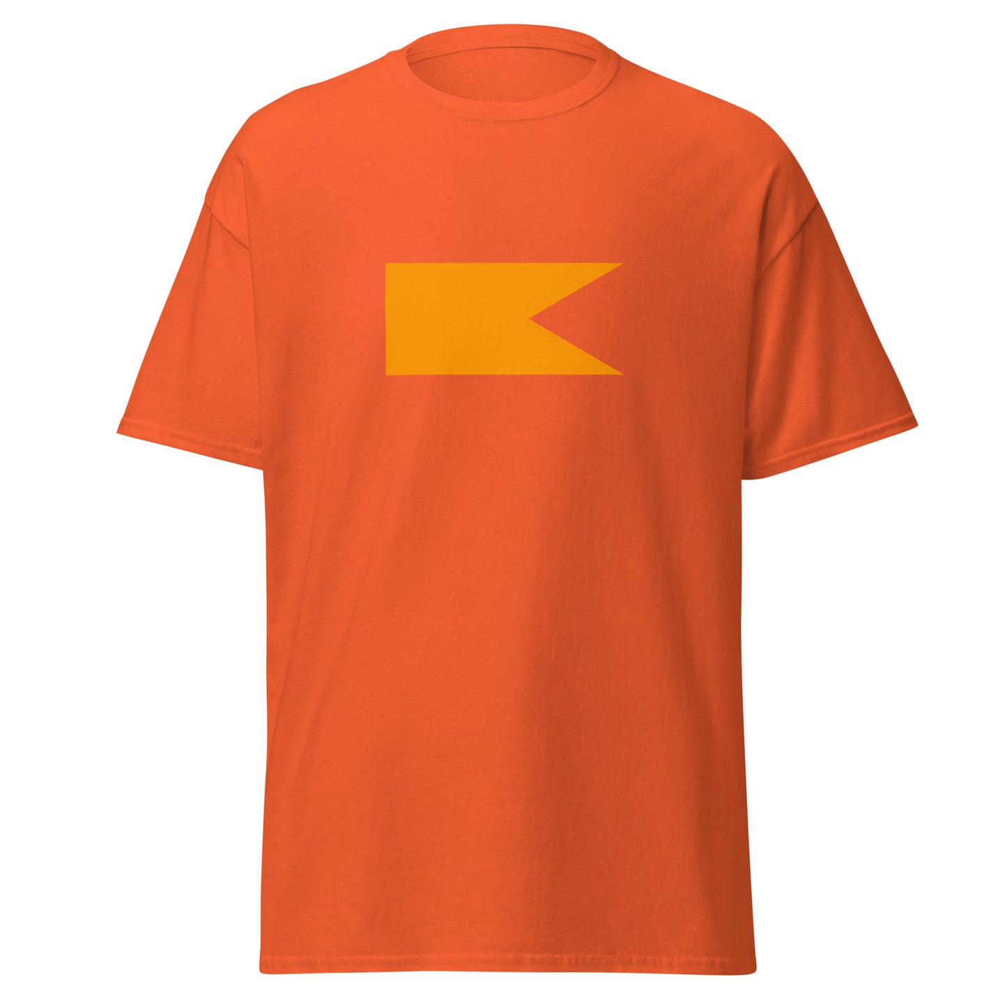 India - Hindus | Ethnic Indian Flag Interactive T-shirt