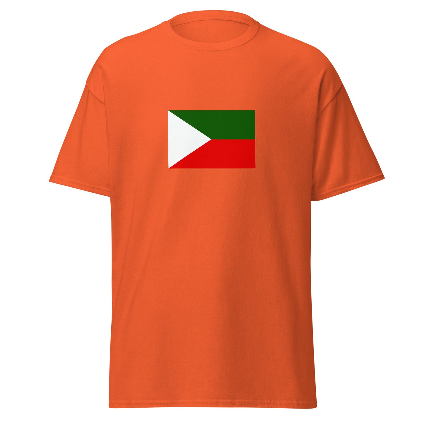 India - Kashmiris | Ethnic Indian Flag Interactive T-shirt