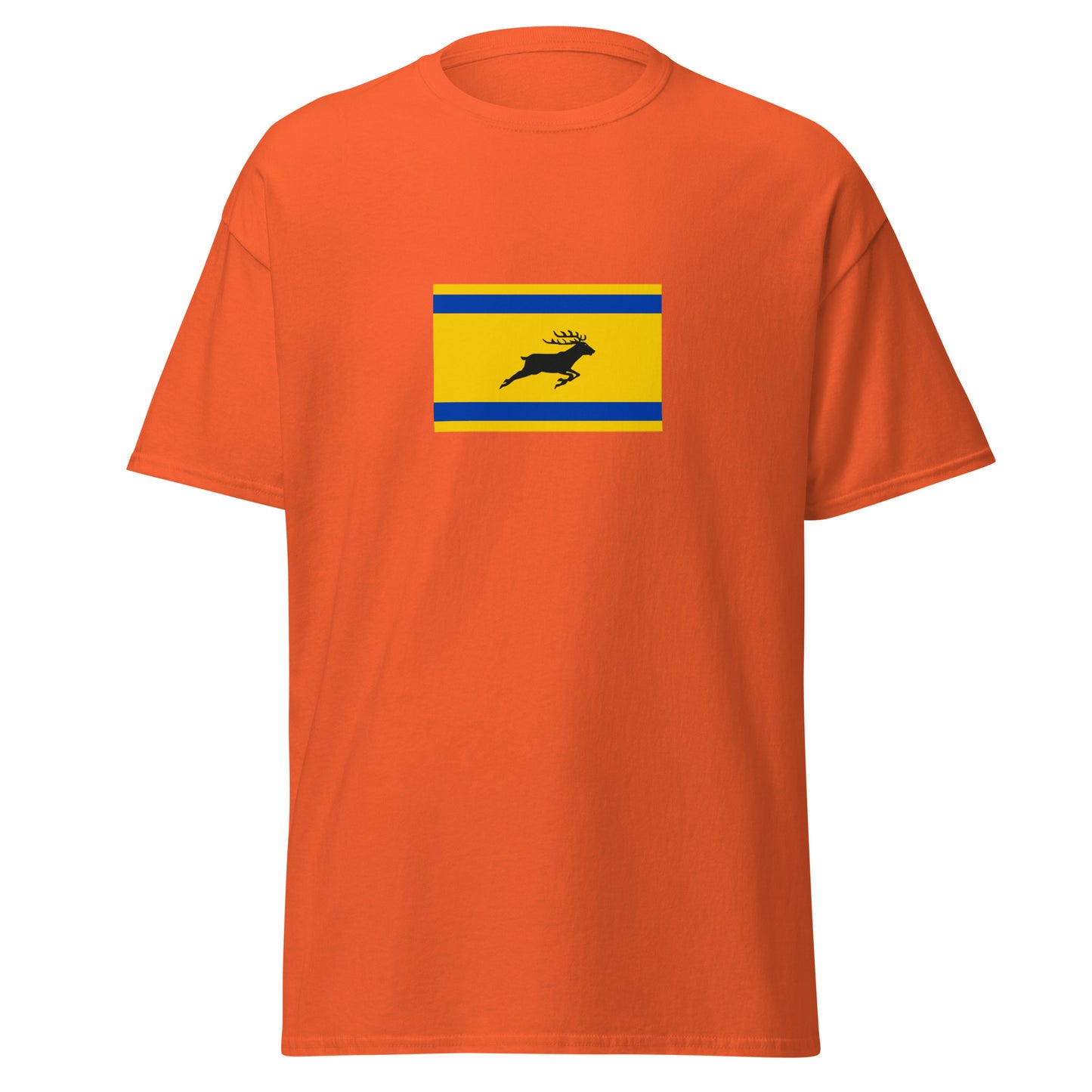 Netherlands - Veluws | Ethnic Netherlands Flag Interactive T-shirt