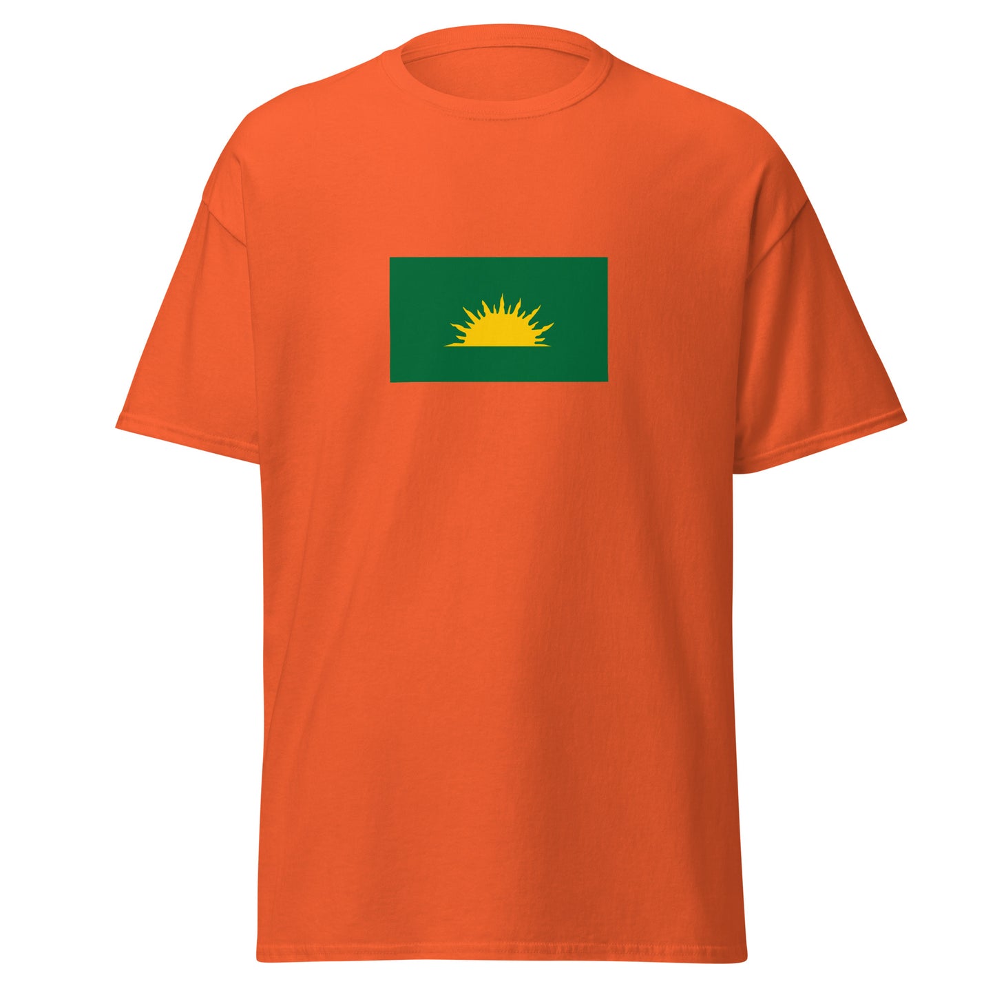 Ireland - Gaels | Ethnic Irish Flag Interactive T-shirt