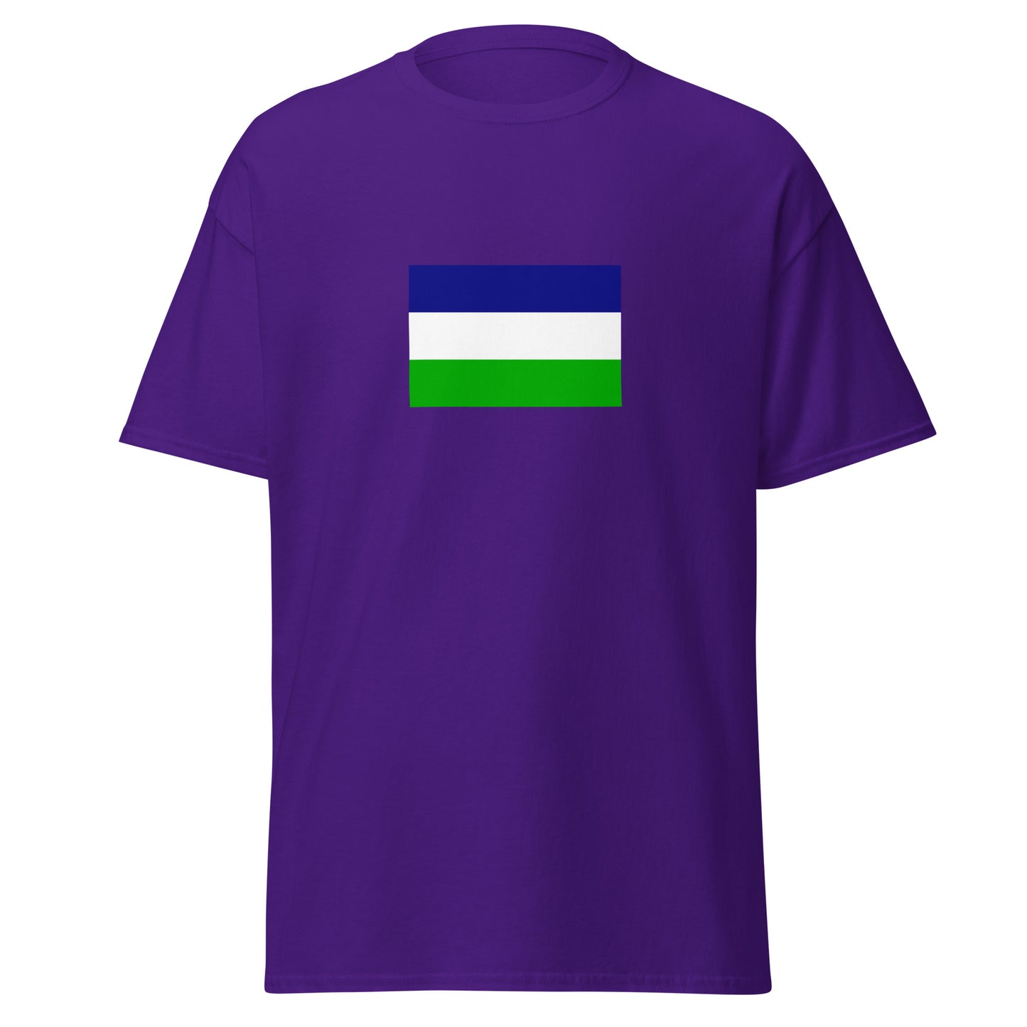 Argentina - Kingdom of Araucania and Patagonia (1860-1860) | Historical Argentina Flag Interactive T-Shirt